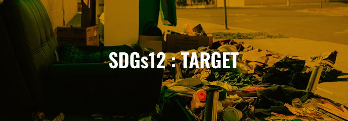SDGs12ターゲット