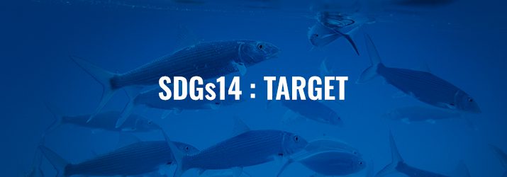 SDGs14ターゲット