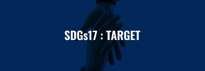 SDGs17ターゲット